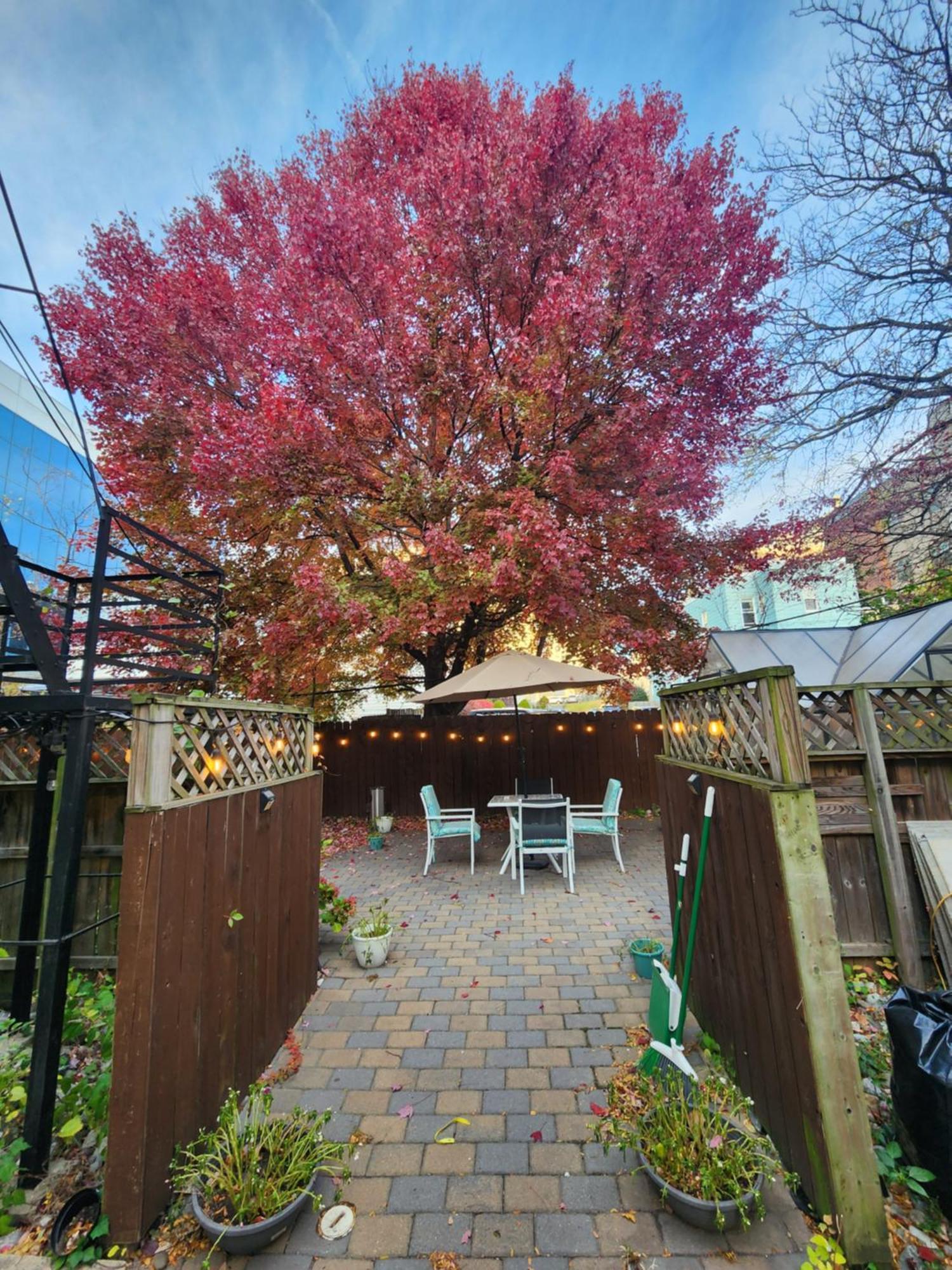 Magnolia Stay Near New York City Джерси-Сити Экстерьер фото